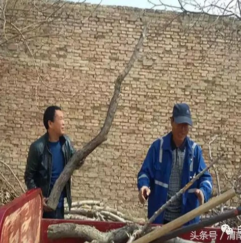 第五人格小六啊_〈第五人格〉中的小六和他弟弟，抖音背后的独特故事