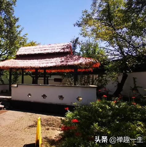 梦幻手游无法关联手机怎么回事_梦幻手游无法关联手机？原因及解决方法全解析