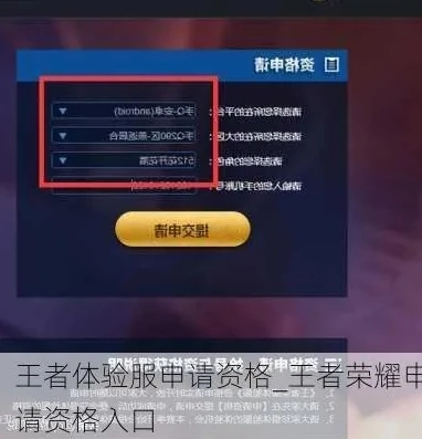 王者荣耀体验服申请资格入口_王者荣耀体验服申请全攻略，探索资格入口与申请技巧