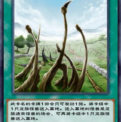龙族之风小说免费阅读_龙族之风，觉醒于神秘世界