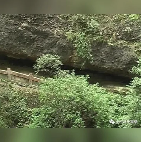三国杀六十将符换什么_三国杀六十将符兑换指南，权衡利弊，最优选择