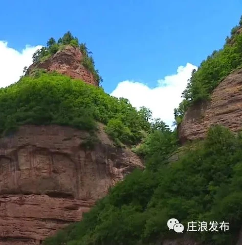 问道手游官方版是哪个版本_问道手游官服，正版游戏体验的不二之选