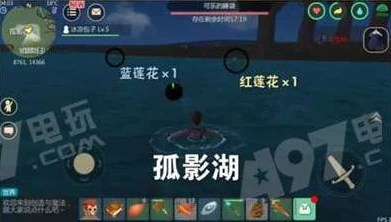 创造与魔法中的饲料配方_创造与魔法饲料配方全解析，探索奇幻生物的美食秘诀