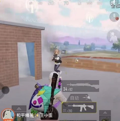和平精英灵敏度分享码怎么用?_和平精英灵敏度分享码使用全攻略