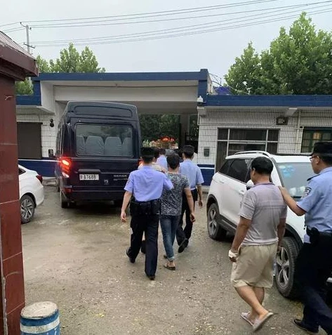 创造与魔法所有坐骑饲料配方_创造与魔法坐骑大全及饲料配方全解析