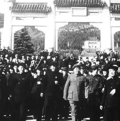问道手游2024大区开服表_问道手游2024大区开服展望，新征程的期待与猜想