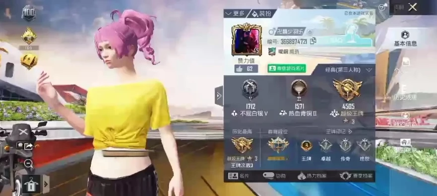 和平精英少羽用过的id_探秘和平精英少羽，名字背后的传奇与游戏之旅
