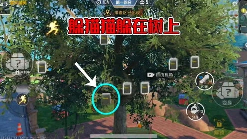 和平精英躲猫猫小石头在哪_和平精英小翔躲猫猫大作战，探寻小石头的神秘踪迹