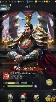 乱世王者官方网站_探秘〈乱世王者〉官网，畅享在线游戏的热血征程