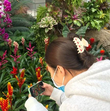 梦幻西游手游白虎资格攻略视频大全_梦幻西游手游白虎资格全攻略,从零到精通