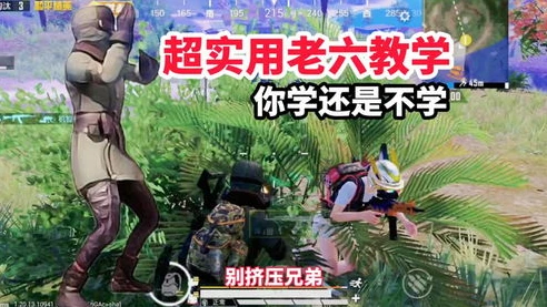 和平精英老六与c4_和平精英之老六的C4奇袭，独特的搭配与战术运用