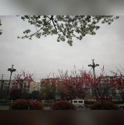 荒野行动云朵符号复制_荒野行动云朵符号全解析,输入方法与特殊用途