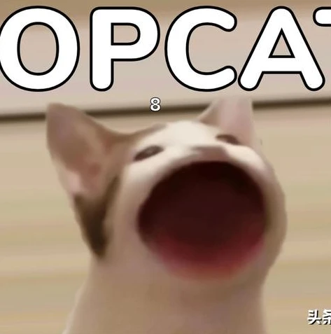 原神pc端下载后打不开_原神PC端下载后网页打不开？问题排查与解决全攻略