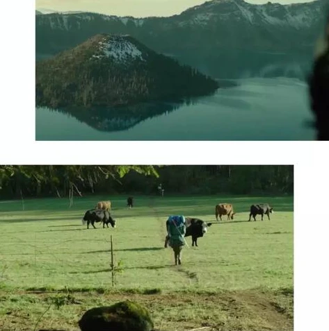 荒野行动退出账号在哪_荒野行动手游，退出登录账号的方法全解析