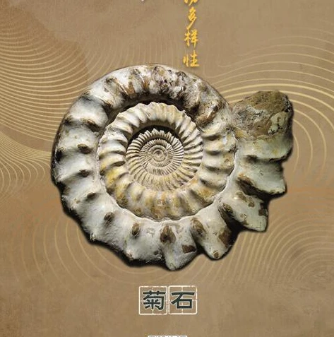 王者荣耀1.0版本下载安装_王者荣耀1.0版本，重温经典，下载体验王者起源之旅