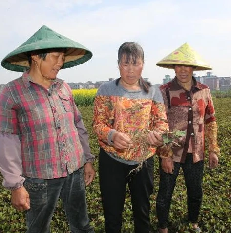 第五人格面对面加好友必须附近的人吗_第五人格面对面加好友，附近之人的必要性探讨