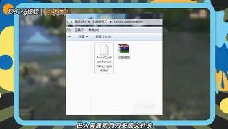 天涯明月刀捏脸数据导入视频教程_天涯明月刀捏脸数据网吧导入全攻略，详细步骤与注意事项