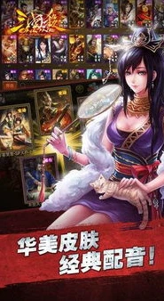 三国杀online网页版能用手机玩么_三国杀online网页版，手机畅玩指南与相关解析