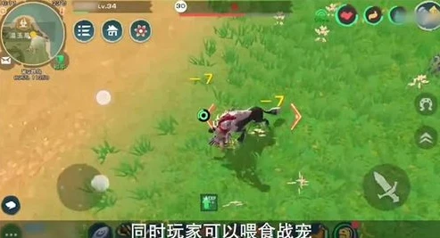创造与魔法银月丘在哪里_创造与魔法，银月丘陵位置全解析（手机版）