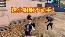 小新和平精英视频_小新解说，和平精英战场上的热血与策略