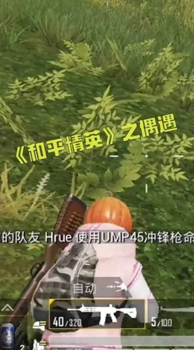 小五哥和小五嫂子玩和平精英游戏_小五哥和小五嫂子的和平精英甜蜜双排之旅