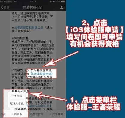 王者体验服ios怎么申请能成功_王者iOS体验服申请全攻略，提高成功率的秘籍