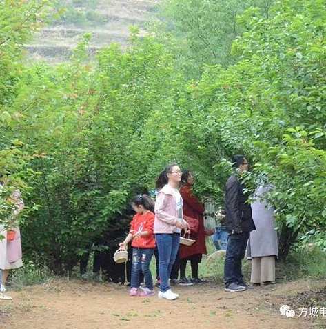 梦幻手游赚钱套路大全最新_梦幻手游赚钱套路大全，全方位解析游戏中的致富之道