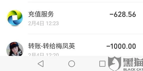 和平精英官方充值平台官网下载手机版_和平精英官方充值平台手机版，安全便捷的游戏充值体验