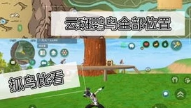 创造与魔法云斑鹦鸟的位置在哪?_创造与魔法，云斑鹦鸟位置全解析