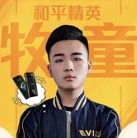 电脑这么下载和平精英_电脑下载和平精英体验服全攻略
