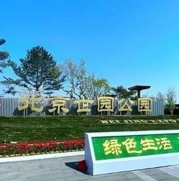 王者荣耀秒玩云游戏入口_王者荣耀免费秒玩云游戏,畅享便捷游戏体验