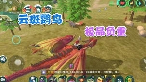 创造与魔法幼鲭鲨饲料多少包保底_创造与魔法，幼鲭鲨饲料保底数量全解析