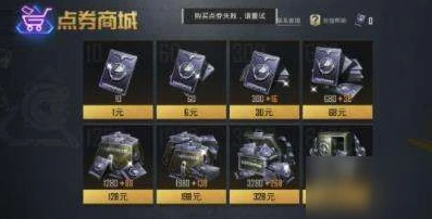 和平精英如何看充值多少点券_和平精英，查看充值点券金额的方法全解析