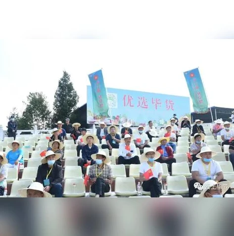 天涯明月刀最新区服_探秘天涯明月刀2020最新区，新征程中的江湖盛景