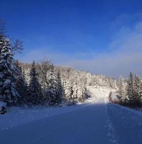 明日方舟冰封雪谷挂机攻略大全_明日方舟冰封雪谷挂机攻略，高效通关全解析