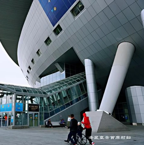 王者荣耀直播赛事官网怎么进_探秘王者荣耀直播赛事官网，进入方式与精彩内容全解析