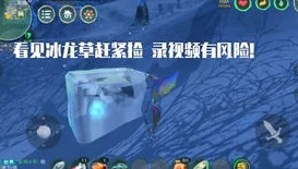 创造与魔法狼人巫祝资质怎么算_创造与魔法狼人巫祝资质全解析，深度探究计算方式与价值评估