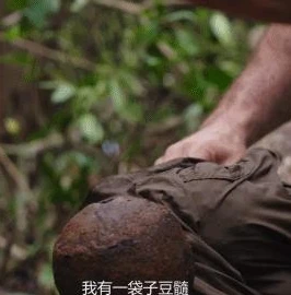荒野行动全新地图攻略_荒野行动全新地图深度攻略，探索未知，决胜荒野