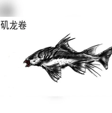 火影忍者全剧情解说_火影忍者全剧情深度解说，忍者世界的热血传奇
