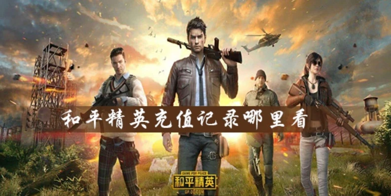 如何看和平精英一共充值了多少钱_探寻和平精英充值总额查询之道