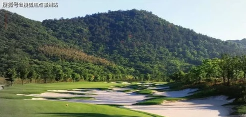 热门手游排行榜2024年最新_2024年热门手游排行榜深度解析，游戏世界的新潮流