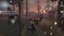 _走进第五人格昊昊，西瓜视频里的独特游戏世界