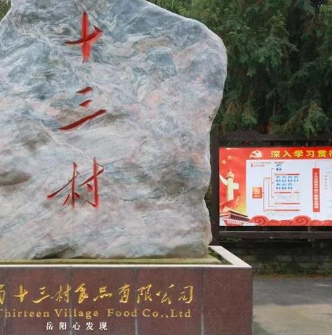 三国志开荒铺路队伍搭配_三国志开荒铺路队伍搭配全解析,高效征战的基石