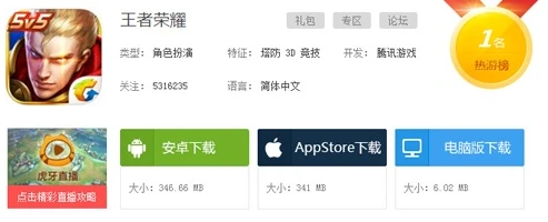 王者荣耀下载器下载安装_王者荣耀下载全攻略，轻松搞定下载器下载与安装