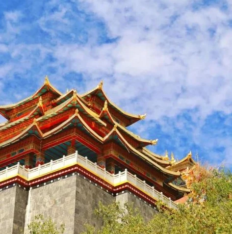 梦幻西游手游多开模拟器mnmn怎么显示没网络_梦幻西游手游多开模拟器mumu显示没网络？原因与解决办法全解析
