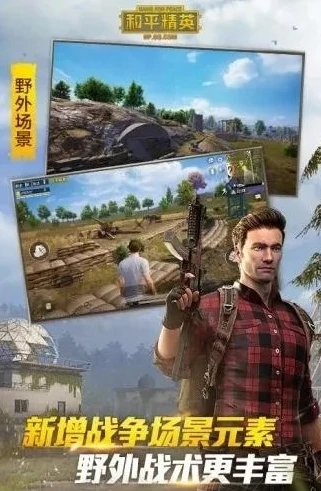 和平精英苹果超广角软件下载_和平精英苹果120帧超广角文件下载,畅享极致游戏体验