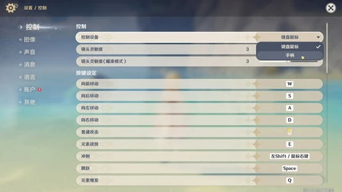 原神pc版官网打开白屏了_原神PC版官网白屏问题，原因探寻与解决方案