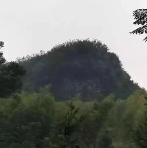 第五人格搞笑头像倒地状态图_第五人格搞笑头像之倒地百态，那些让人捧腹的瞬间