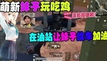 和平精英老六搞笑视频大全下载_和平精英老六搞笑视频，笑料百出的游戏趣闻大赏