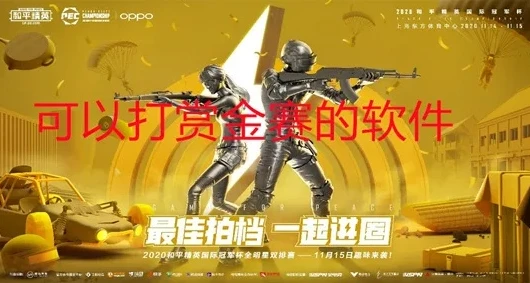 抖音和平精英赏金赛是真的吗_抖音和平精英赏金赛，真相大揭秘